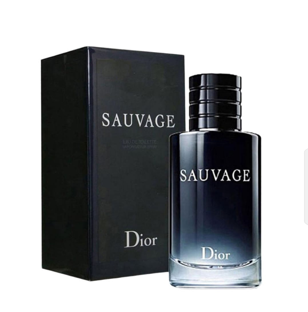 Dior Sauvage EDP 100 ml Sauvage Perfume